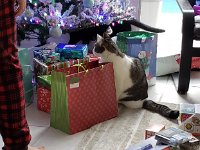 20181225 082434