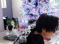 20181225 082920