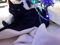 20181225 151412
