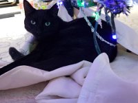 20181225 151415