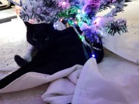 20181225 151422
