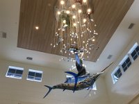 IMG 0004 (1)