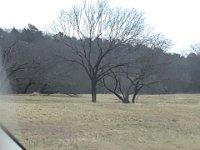 20180126 114044