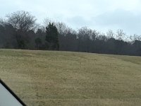 20180126 114047