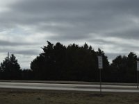 DSC9442