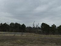 DSC9460