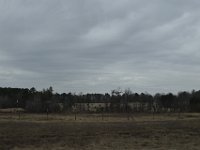 DSC9461