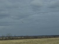DSC9467