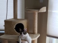 20180717 175628