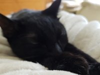 20180725 180856