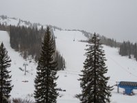 DSC 6818