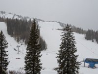 DSC 6819