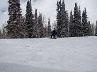 DSC 7995
