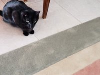 20180329 174235
