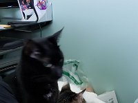 20181102 163747