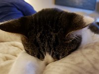 20181003 211841