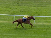 DSC 9172