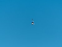 DSC 0016