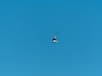 DSC 0019