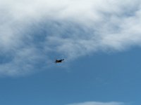 DSC 0244
