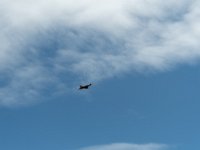 DSC 0245