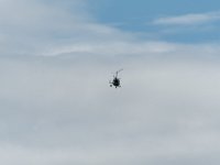 DSC 0290