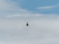 DSC 0291