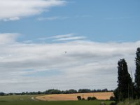 DSC 0295