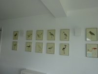 DSC00115