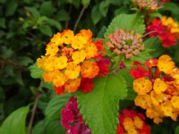 DSC00119