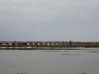 DSC00130