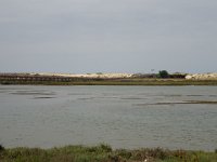 DSC00132