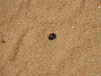 DSC00154