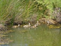 DSC00160