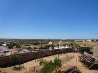 DSC00184