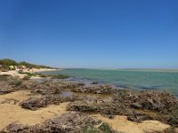 DSC00207