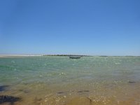 DSC00210