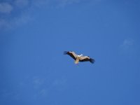 DSC00215