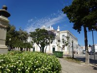 DSC00222