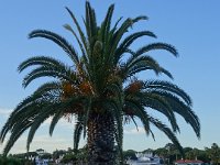 DSC00245