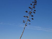 DSC00281