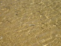 DSC00295