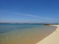 DSC00299