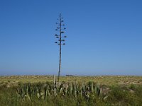 DSC00308
