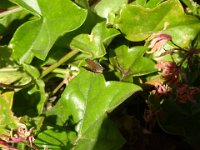 DSC00321