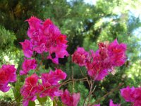 DSC00330