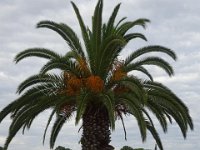 DSC00369