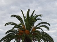 DSC00370