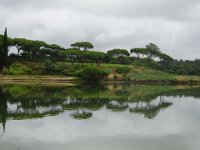 DSC00378