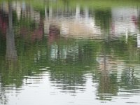 DSC00381